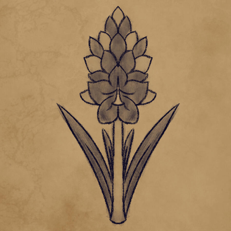 Jacinto's crest- A hyacinth flower.